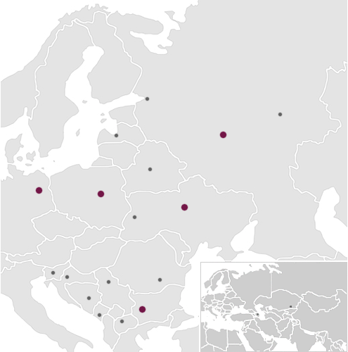 Netzwerk Osteuropa